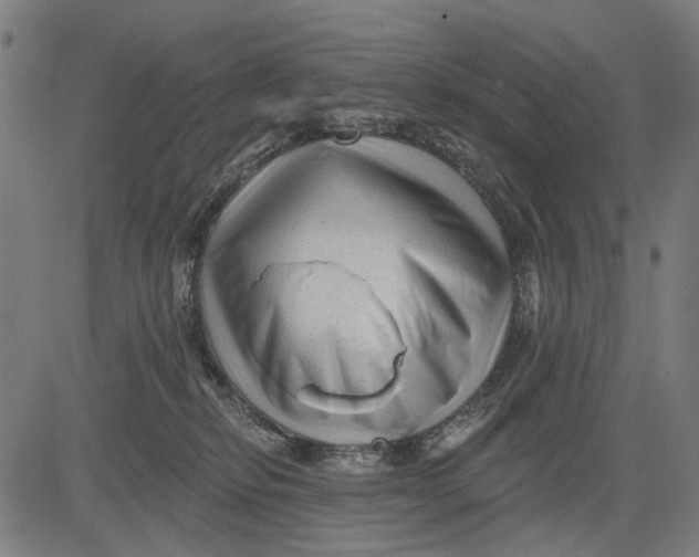 X0000081460278200702021815