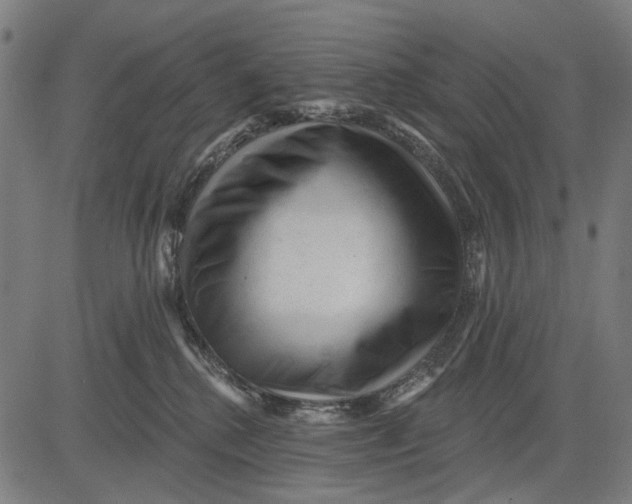 X0000081460280200702021815