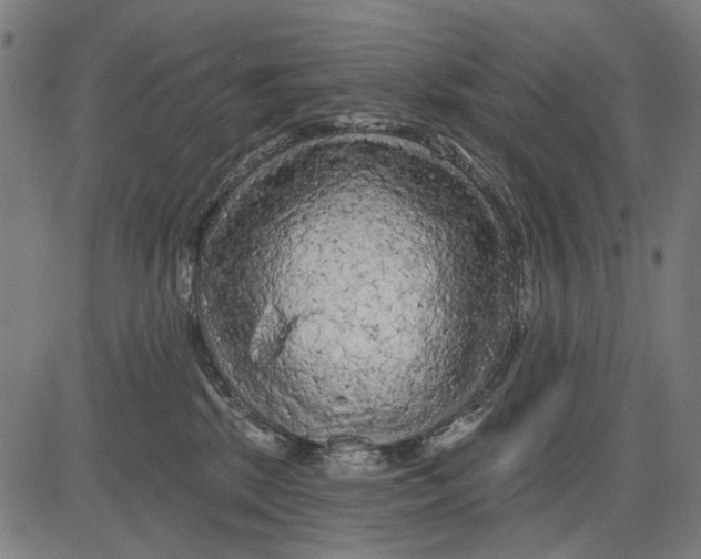 X0000081460281200702021815