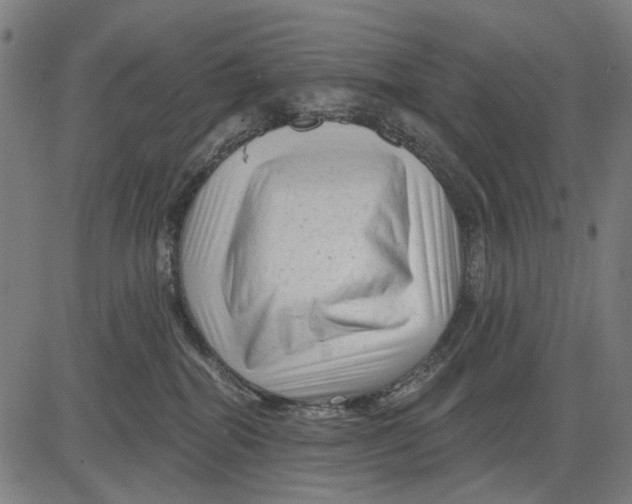 X0000081460282200702021815