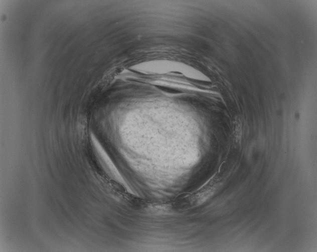 X0000081460283200702021815