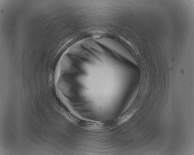 X0000081460288200702021815
