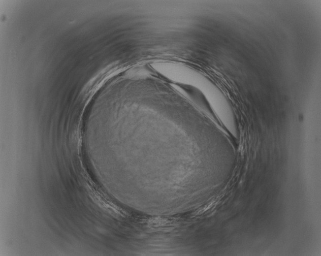 X0000081460290200702021814