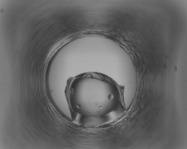 X0000081460293200702021814