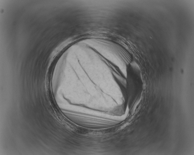 X0000081460294200702021814