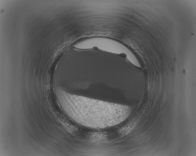 X0000081460303200702021814