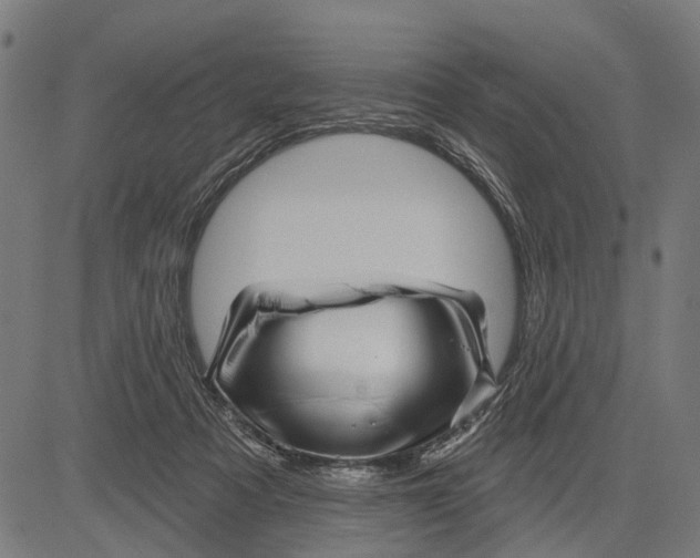X0000081460313200702021814