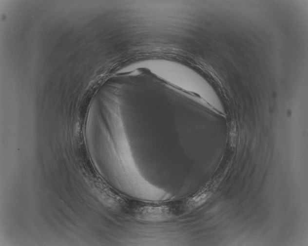 X0000081460314200702021814