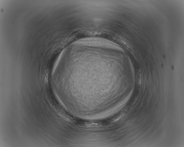 X0000081460315200702021814