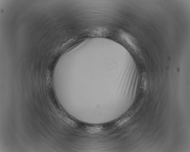 X0000081460318200702021814