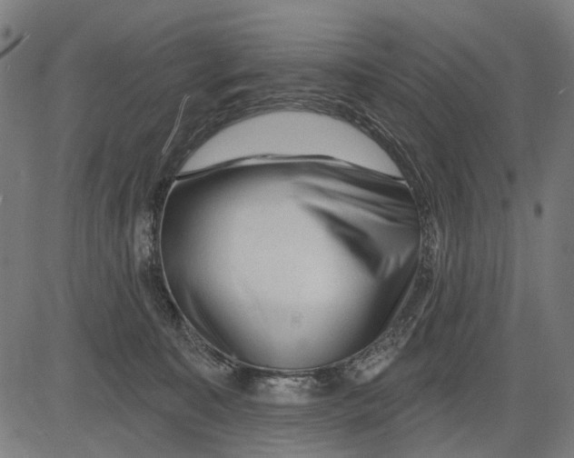 X0000081460323200702021814