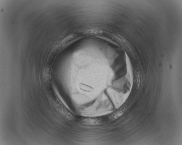 X0000081460326200702021814