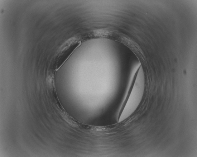 X0000081460329200702021814