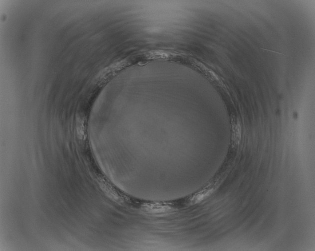 X0000081460331200702021814