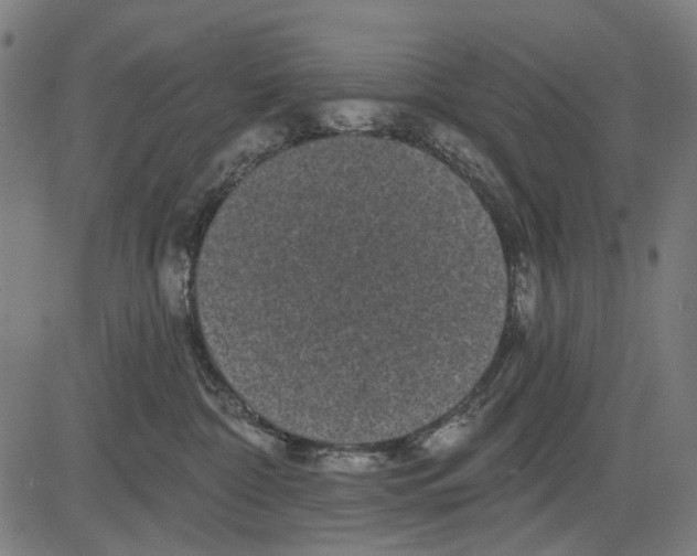 X0000081460332200702021814