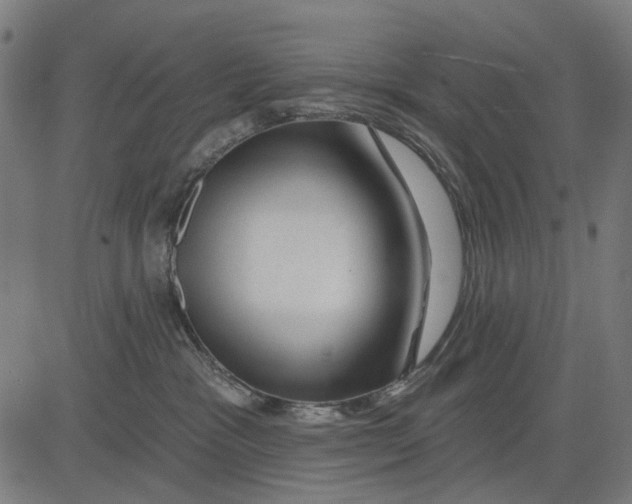 X0000081460333200702021813