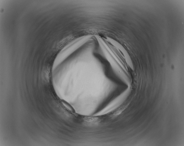 X0000081460334200702021813