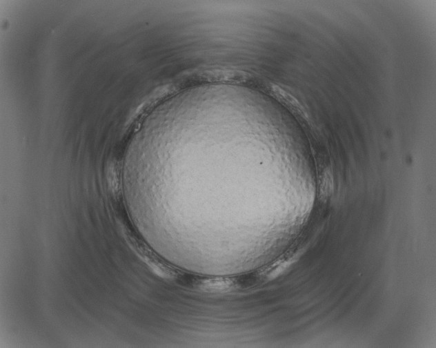 X0000081460335200702021813