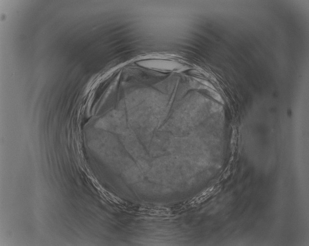 X0000081460337200702021813