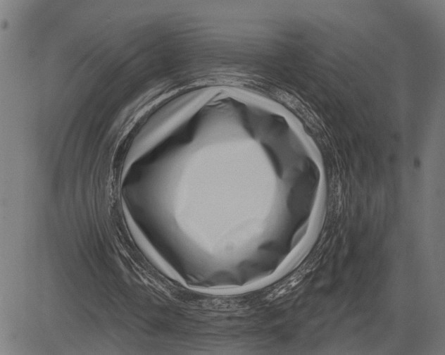 X0000081460338200702021813