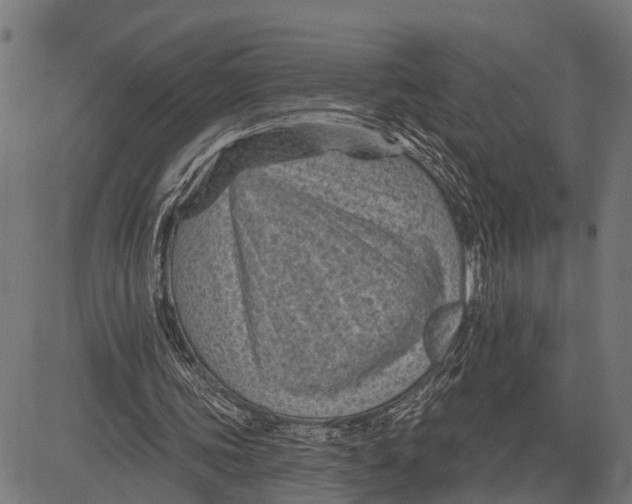 X0000081460339200702021813