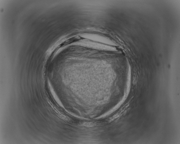 X0000081460341200702021813