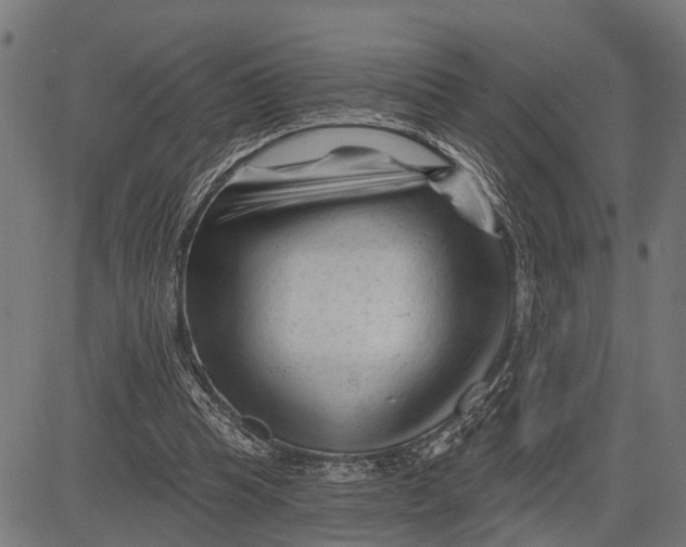X0000081460345200702021813