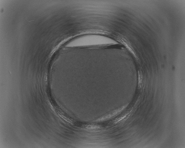 X0000081460348200702021813