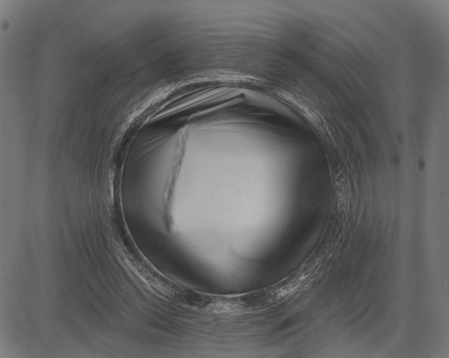 X0000081460350200702021813