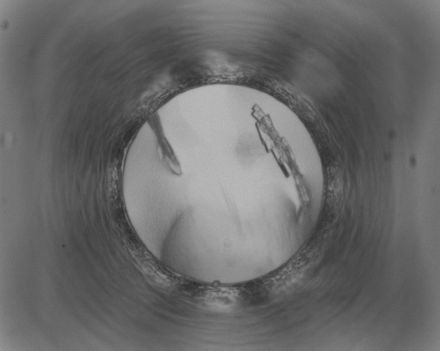 X0000081460369200702021813