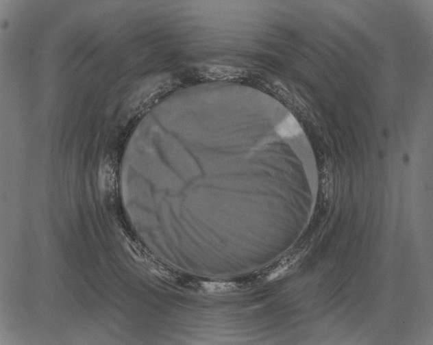 X0000081460371200702021813