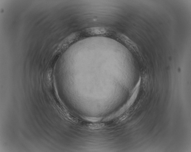 X0000081460373200702021813