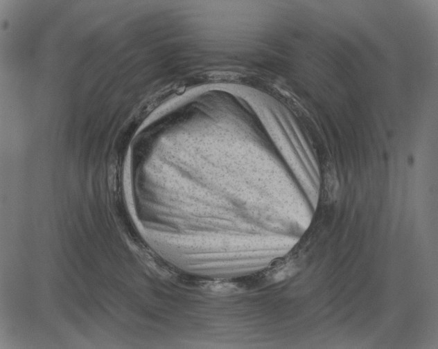 X0000081460379200702021813