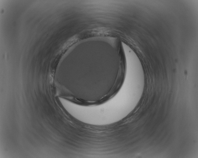 X0000081460382200702021813