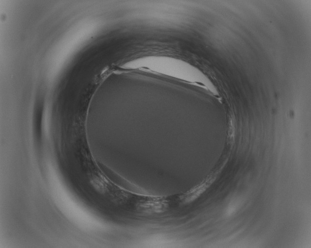 X0000081460383200702021813