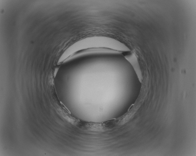 X0000081460384200702021813