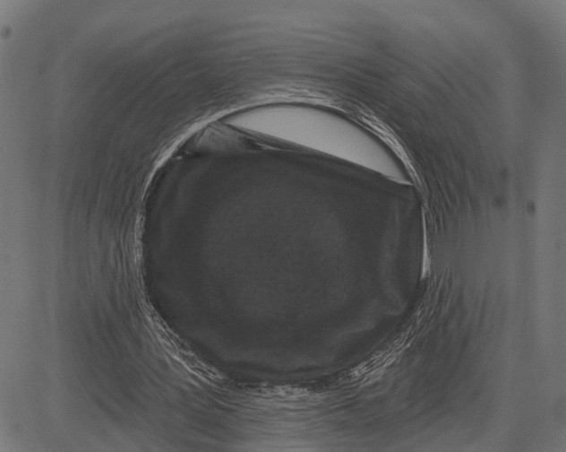 X0000081460387200702021813