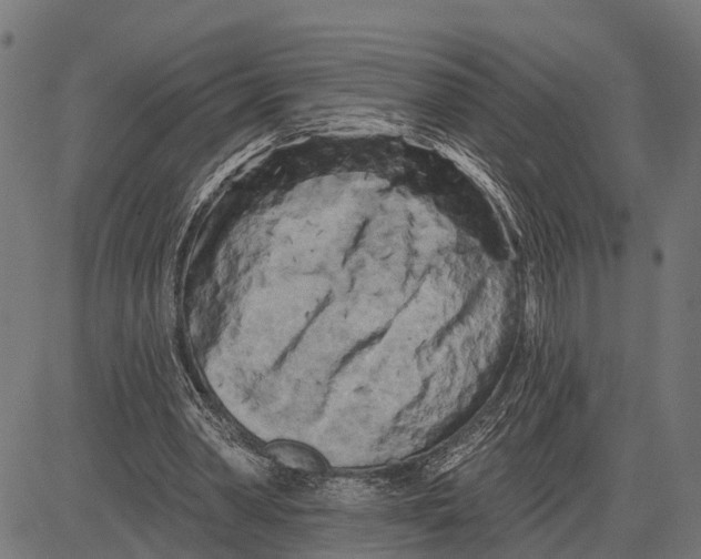 X0000081460390200702021813