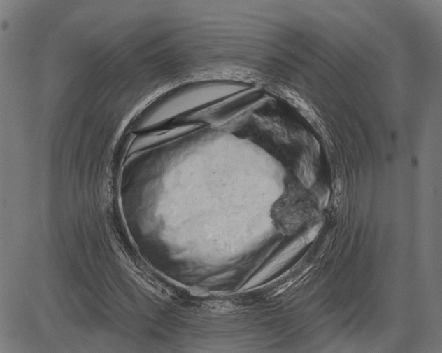X0000081460392200702021813