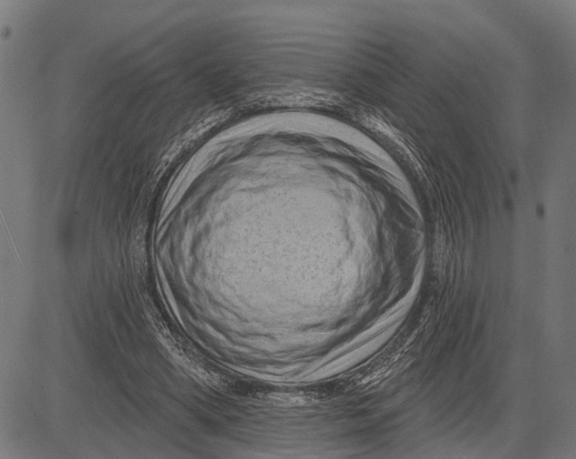 X0000081460394200702021813