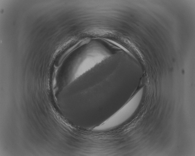 X0000081460399200702021812