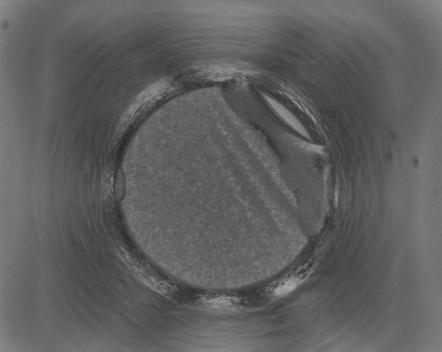 X0000081460407200702021812