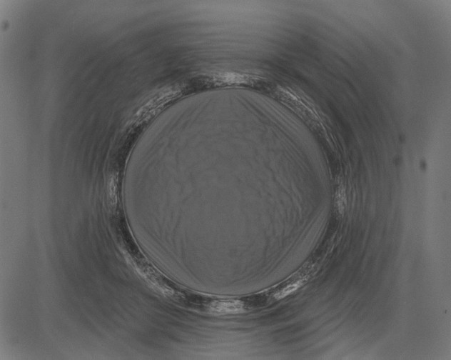 X0000081460410200702021812