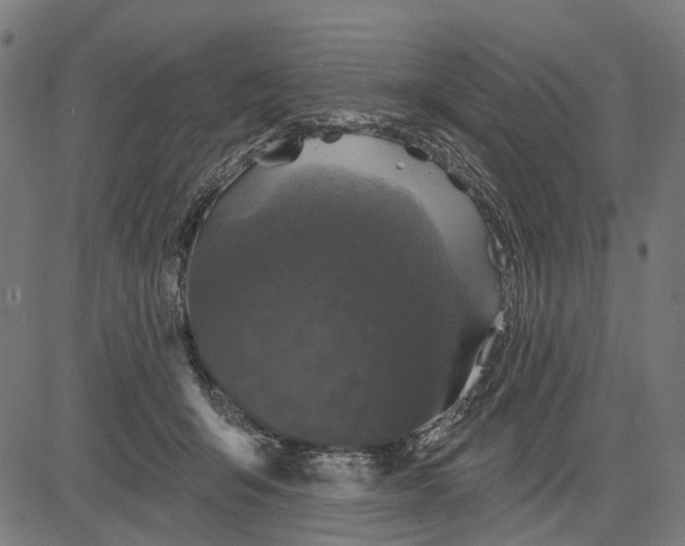 X0000081460415200702021812