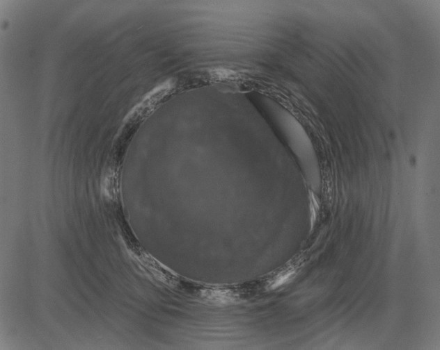 X0000081460419200702021812