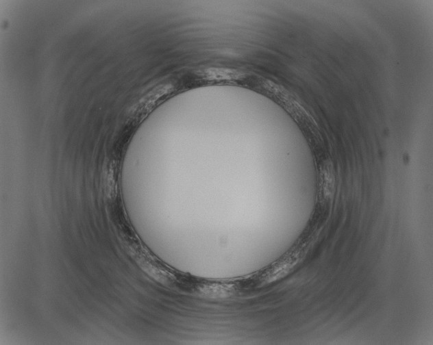 X0000081460422200702021812