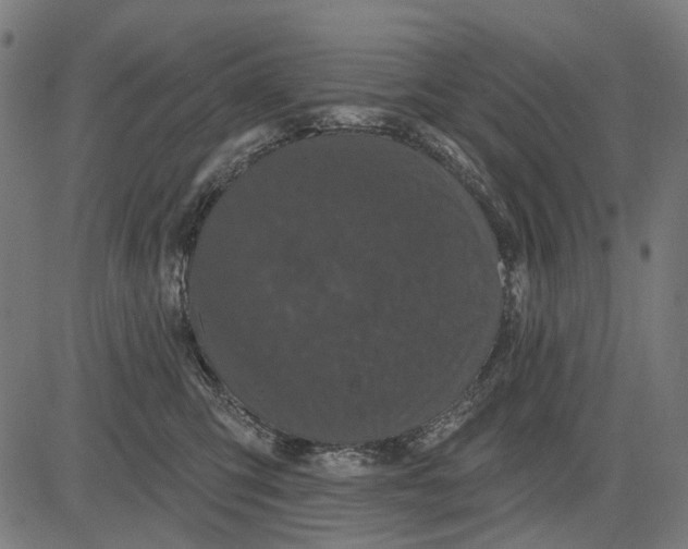 X0000081460423200702021812