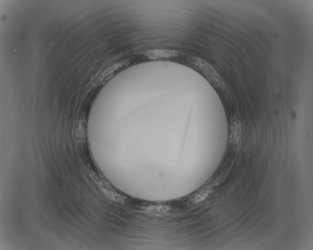 X0000081460426200702021812