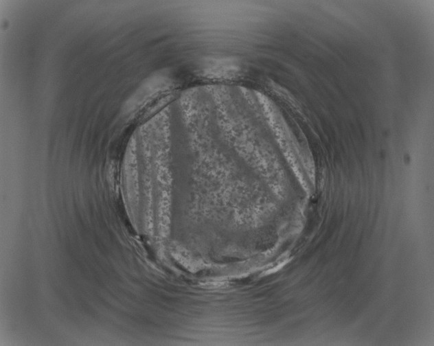 X0000081460428200702021812