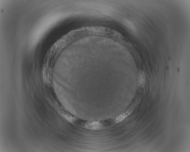 X0000081460431200702021812